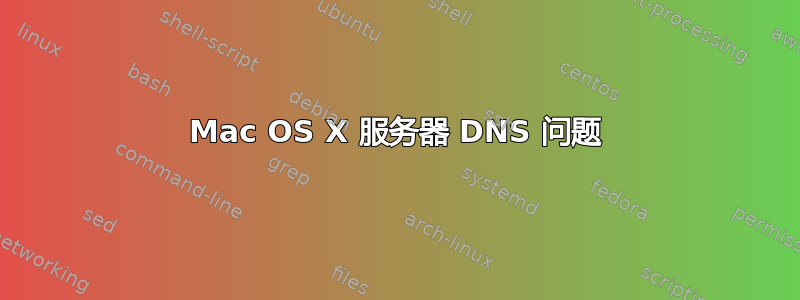 Mac OS X 服务器 DNS 问题