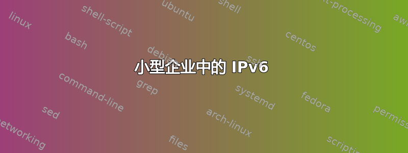 小型企业中的 IPv6