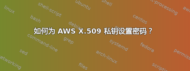 如何为 AWS X.509 私钥设置密码？