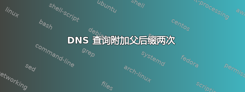 DNS 查询附加父后缀两次