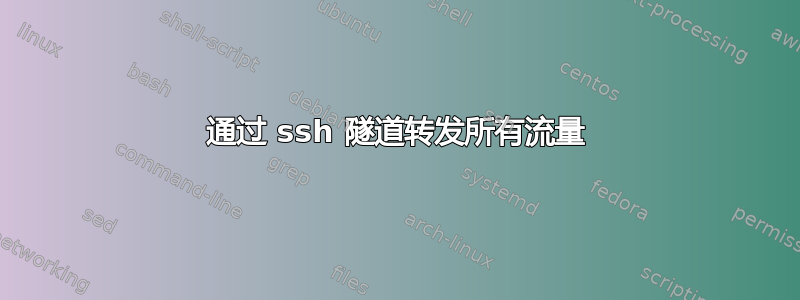 通过 ssh 隧道转发所有流量