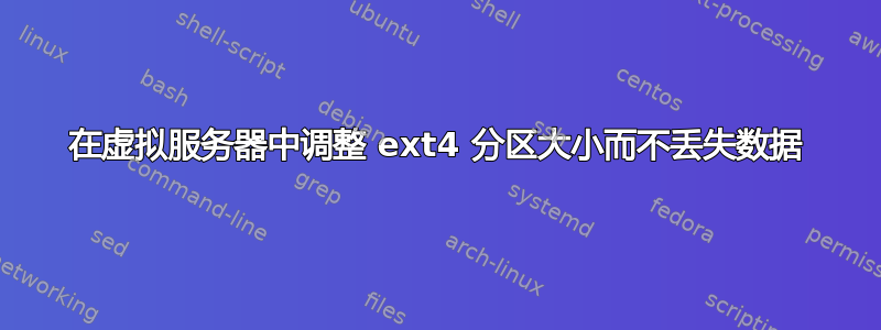 在虚拟服务器中调整 ext4 分区大小而不丢失数据