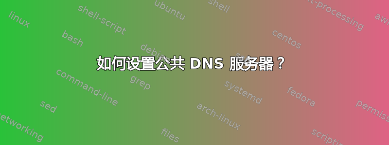 如何设置公共 DNS 服务器？