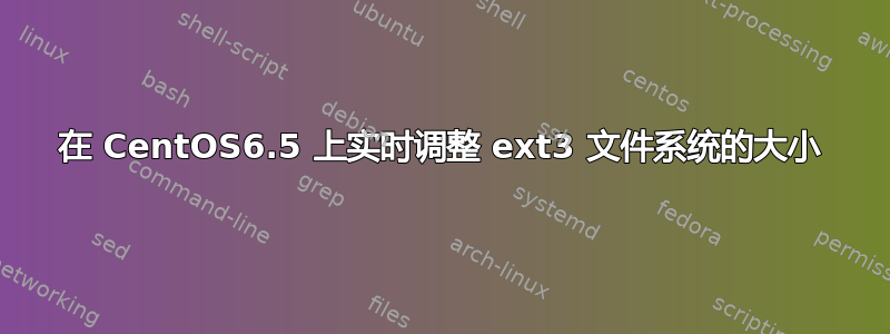 在 CentOS6.5 上实时调整 ext3 文件系统的大小