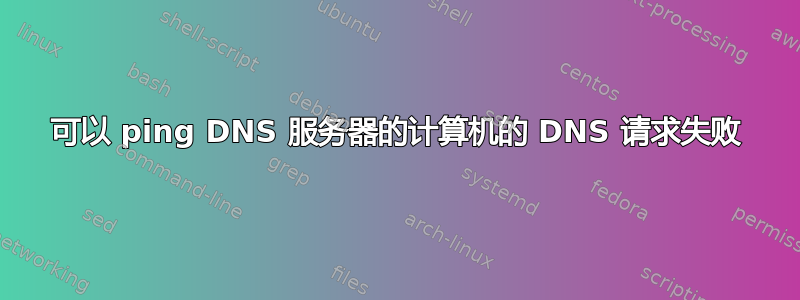 可以 ping DNS 服务器的计算机的 DNS 请求失败