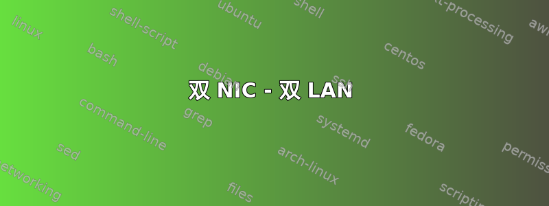 双 NIC - 双 LAN