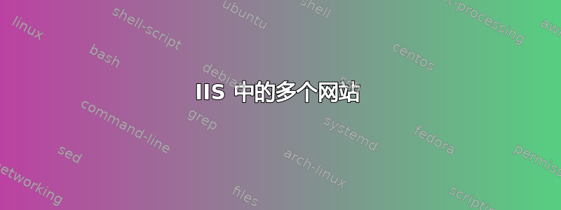 IIS 中的多个网站