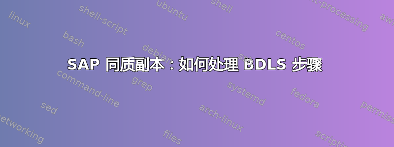 SAP 同质副本​​：如何处理 BDLS 步骤