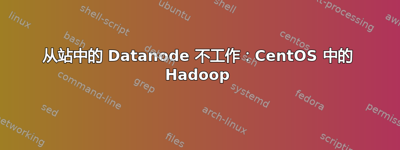 从站中的 Datanode 不工作：CentOS 中的 Hadoop