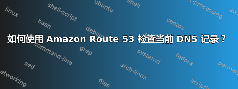 如何使用 Amazon Route 53 检查当前 DNS 记录？