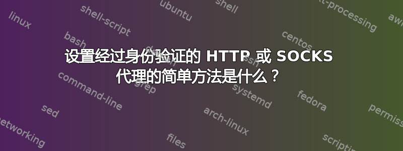 设置经过身份验证的 HTTP 或 SOCKS 代理的简单方法是什么？