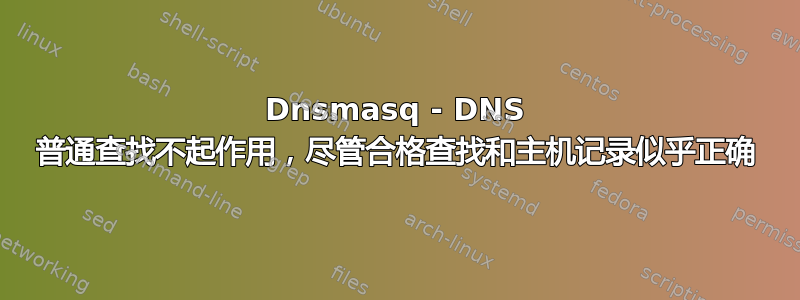 Dnsmasq - DNS 普通查找不起作用，尽管合格查找和主机记录似乎正确