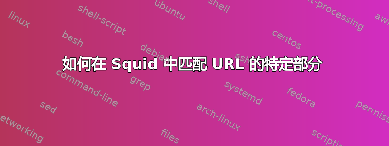 如何在 Squid 中匹配 URL 的特定部分