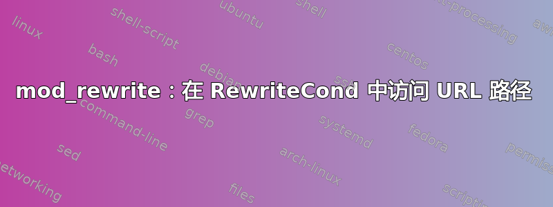 mod_rewrite：在 RewriteCond 中访问 URL 路径