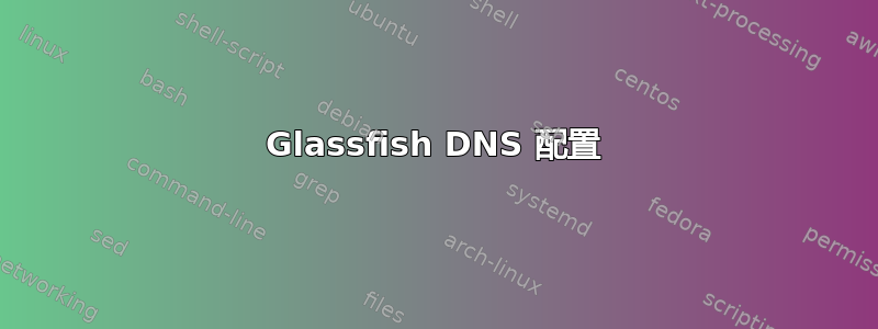 Glassfish DNS 配置