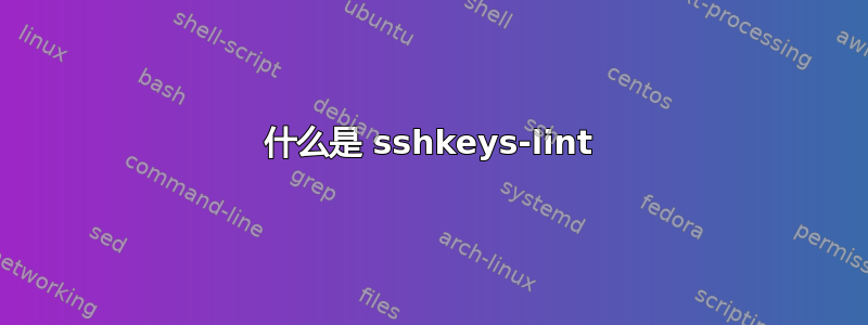 什么是 sshkeys-lint