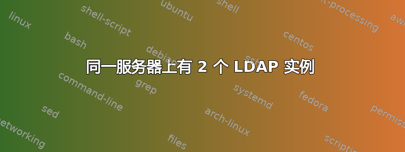 同一服务器上有 2 个 LDAP 实例