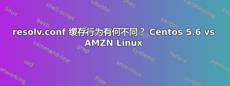 resolv.conf 缓存行为有何不同？ Centos 5.6 vs AMZN Linux