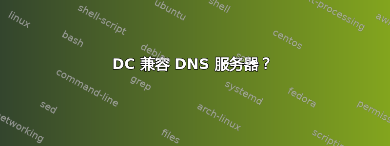 DC 兼容 DNS 服务器？