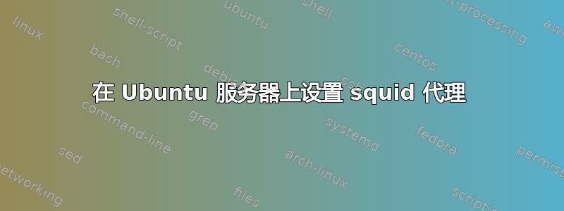 在 Ubuntu 服务器上设置 squid 代理