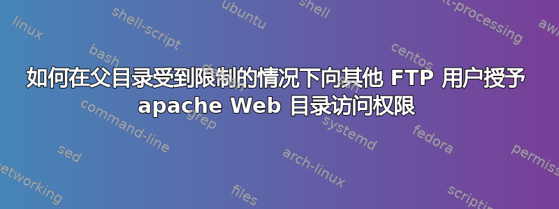 如何在父目录受到限制的情况下向其他 FTP 用户授予 apache Web 目录访问权限