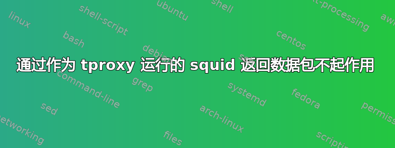 通过作为 tproxy 运行的 squid 返回数据包不起作用