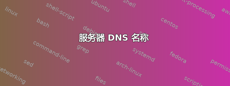 服务器 DNS 名称