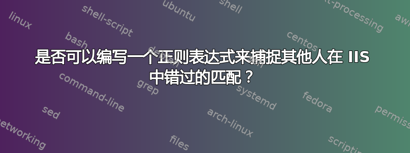 是否可以编写一个正则表达式来捕捉其他人在 IIS 中错过的匹配？