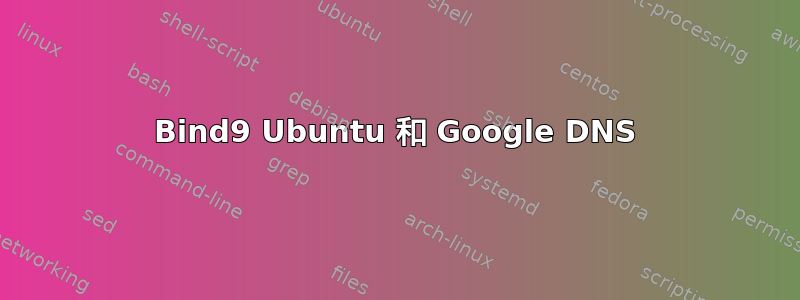 Bind9 Ubuntu 和 Google DNS