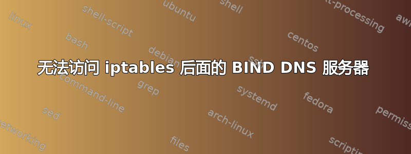 无法访问 iptables 后面的 BIND DNS 服务器