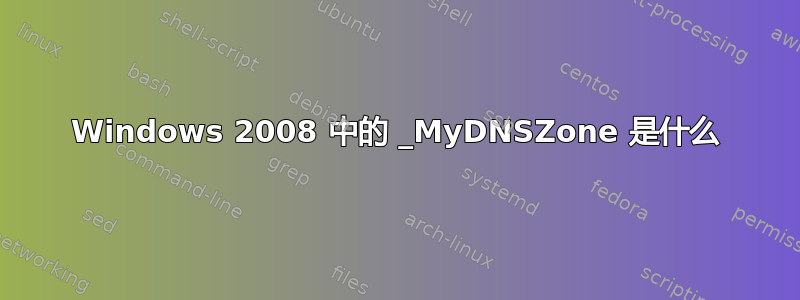 Windows 2008 中的 _MyDNSZone 是什么