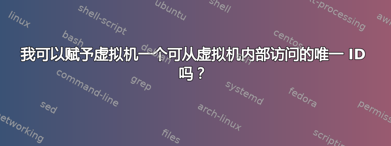 我可以赋予虚拟机一个可从虚拟机内部访问的唯一 ID 吗？