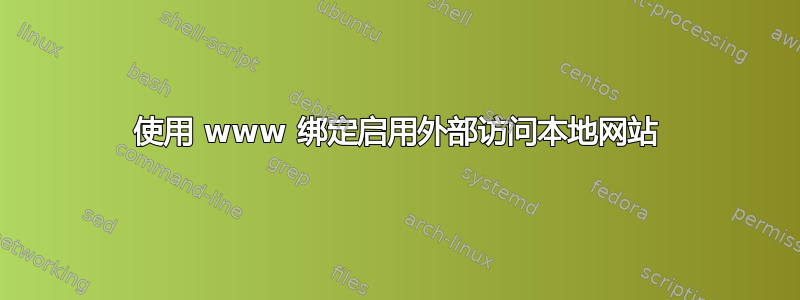 使用 www 绑定启用外部访问本地网站