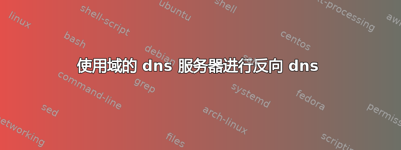 使用域的 dns 服务器进行反向 dns