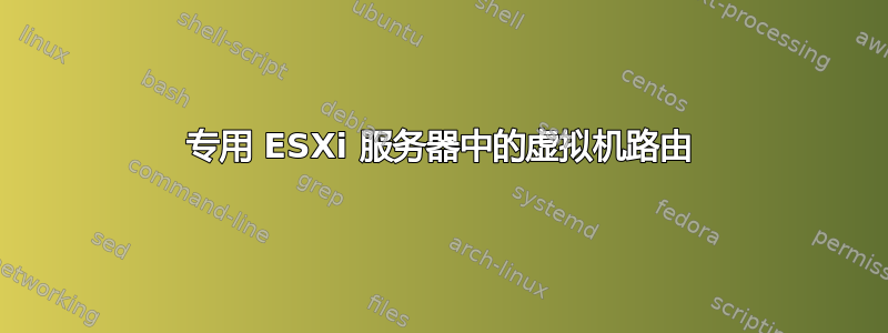 专用 ESXi 服务器中的虚拟机路由