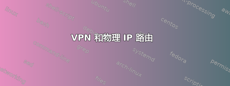 VPN 和物理 IP 路由 