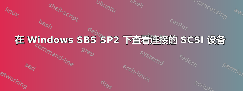 在 Windows SBS SP2 下查看连接的 SCSI 设备