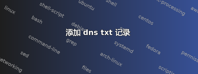 添加 dns txt 记录