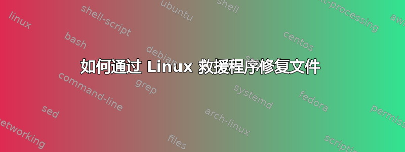 如何通过 Linux 救援程序修复文件