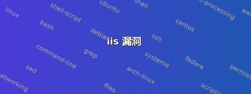 iis 漏洞