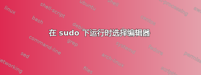 在 sudo 下运行时选择编辑器