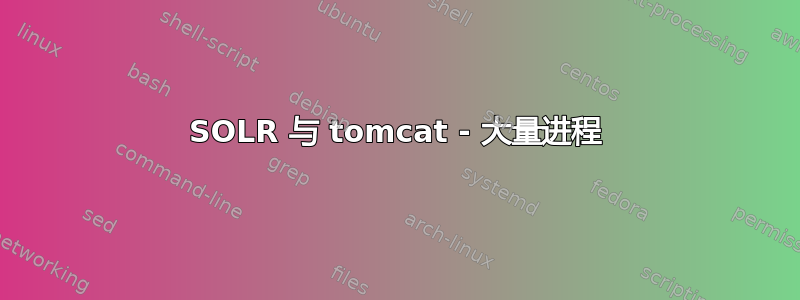 SOLR 与 tomcat - 大量进程