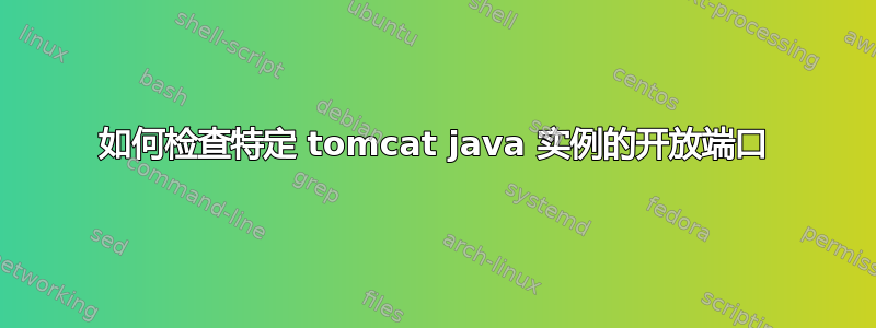 如何检查特定 tomcat java 实例的开放端口