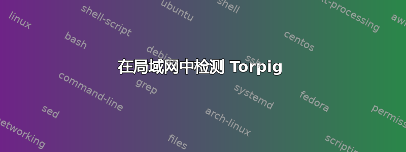 在局域网中检测 Torpig