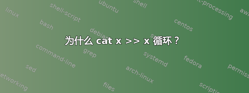 为什么 cat x >> x 循环？