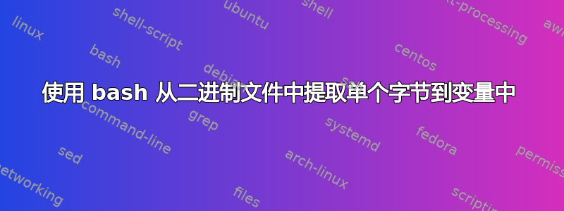 使用 bash 从二进制文件中提取单个字节到变量中