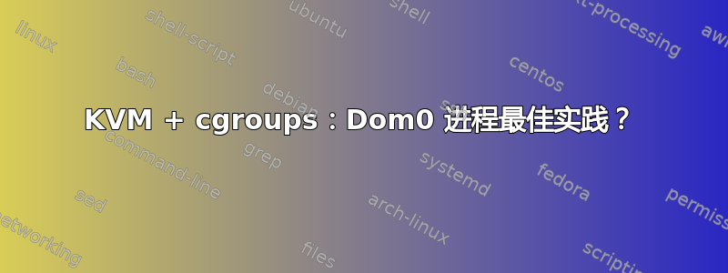 KVM + cgroups：Dom0 进程最佳实践？