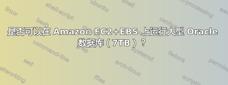 是否可以在 Amazon EC2+EBS 上运行大型 Oracle 数据库（7TB）？