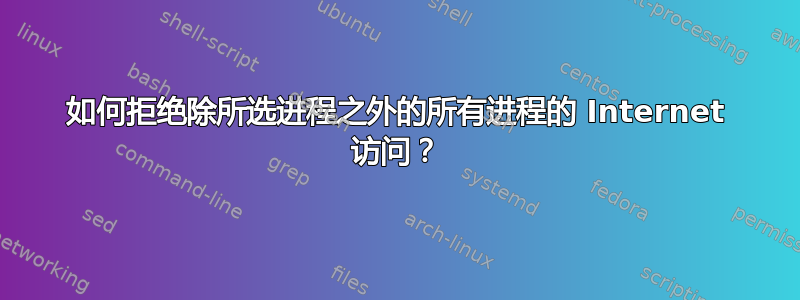 如何拒绝除所选进程之外的所有进程的 Internet 访问？