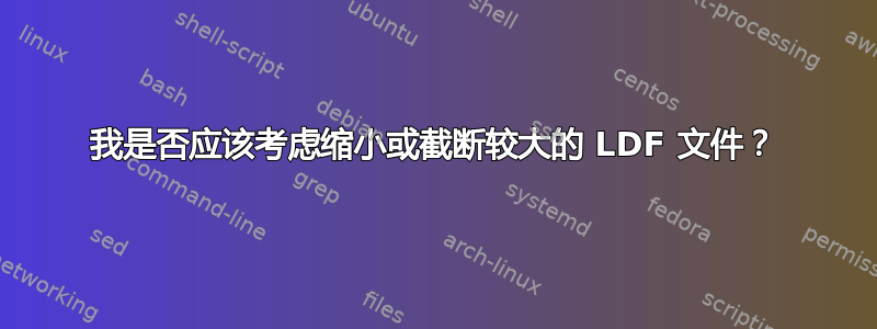 我是否应该考虑缩小或截断较大的 LDF 文件？